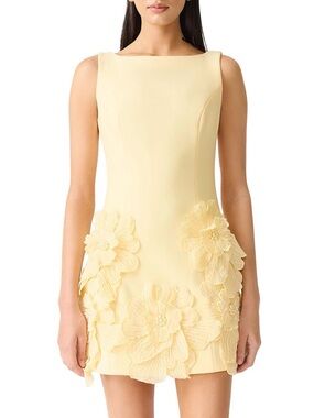 NWT - Elliatt Janelle Dress - Show Stopper!